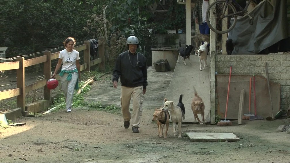 Em casa, Luciano cuida de 28 cães e 12 gatos, todos resgatados na rua. — Foto: Miguel Folco / G1
