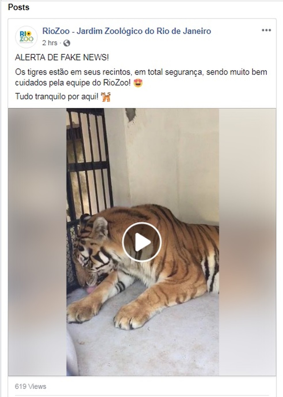 Post do RioZoo desmente que os tigres tenham fugido — Foto: Reprodução/ Facebook