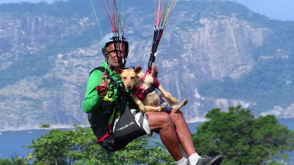 Cadela Dorinha realiza mais um voo de parapente por Niterói — Foto: Bruno Albernaz / G1