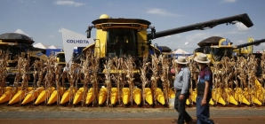 Grandes feiras do agronegócio deixam de movimentar R$ 25 bilhões na pandemia